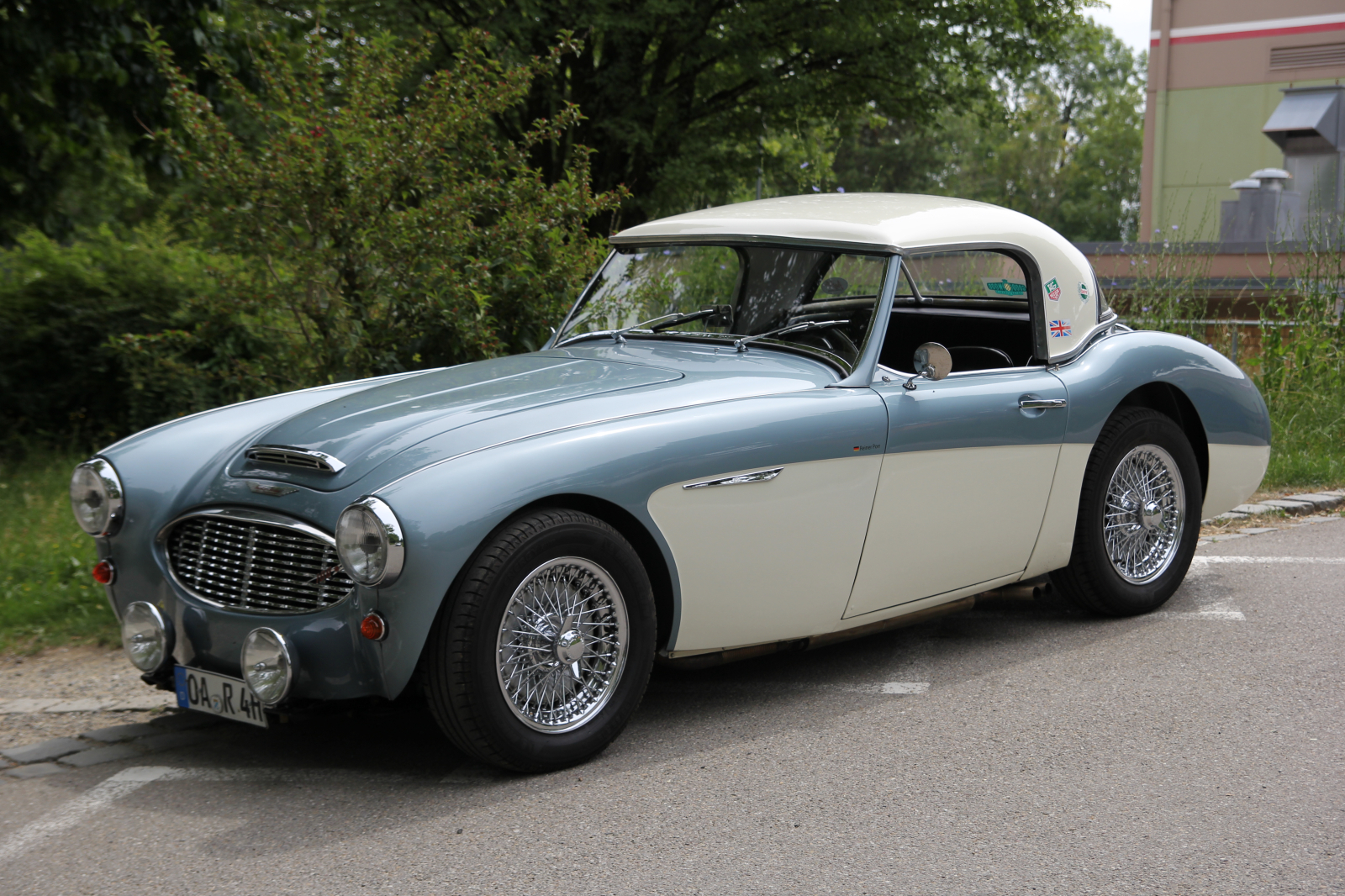 Austin Healey 100-6