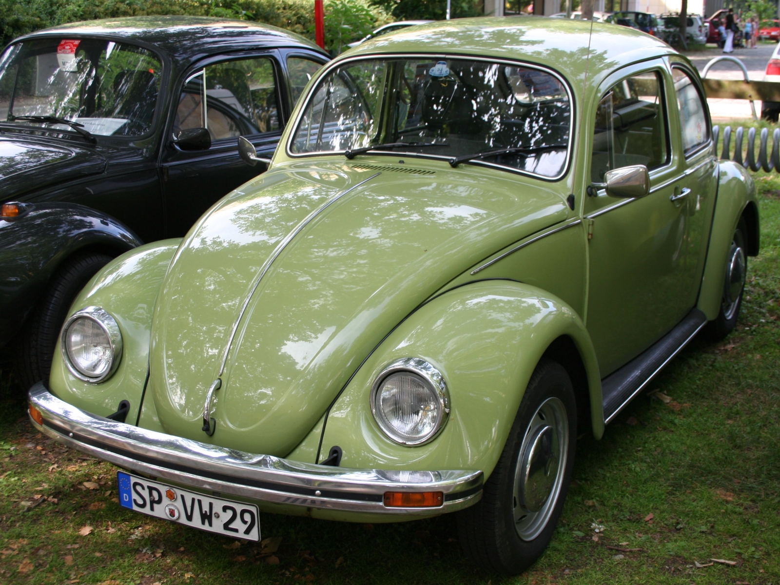 VW Kaefer