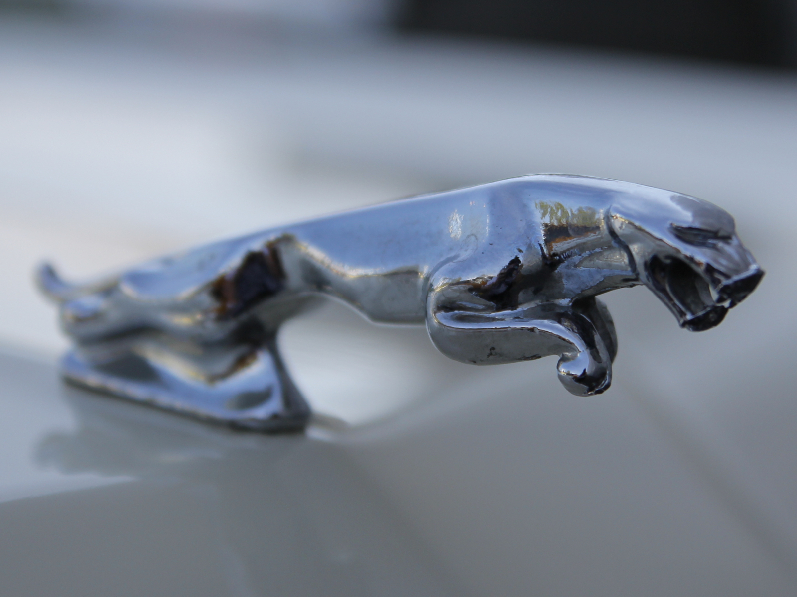 Mercury Cougar XR7 Cabriolet Detail