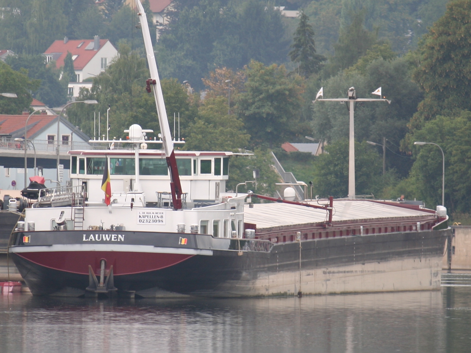 Lauwen
