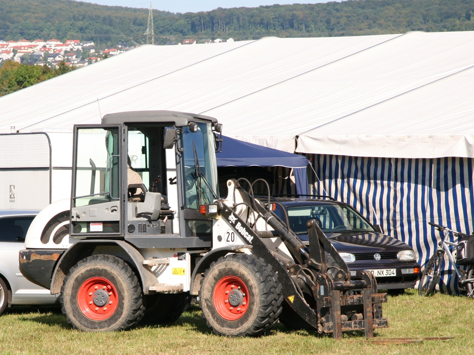 Bobcat