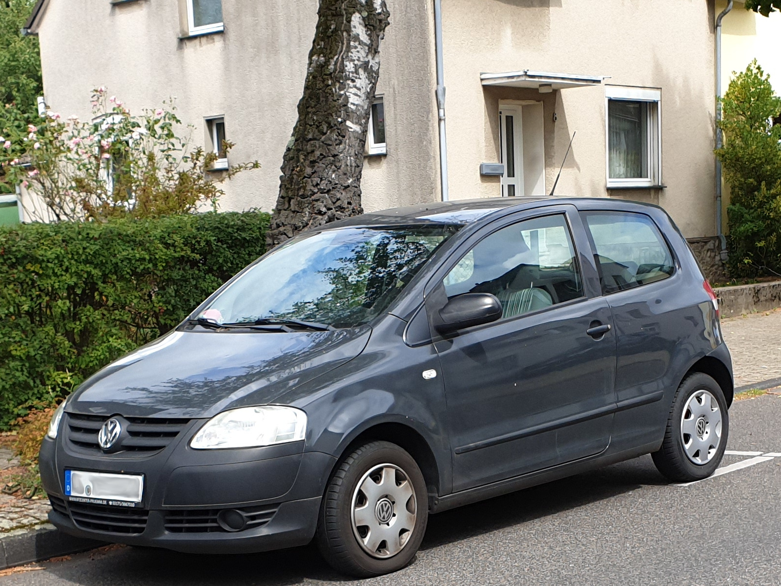 VW Fox