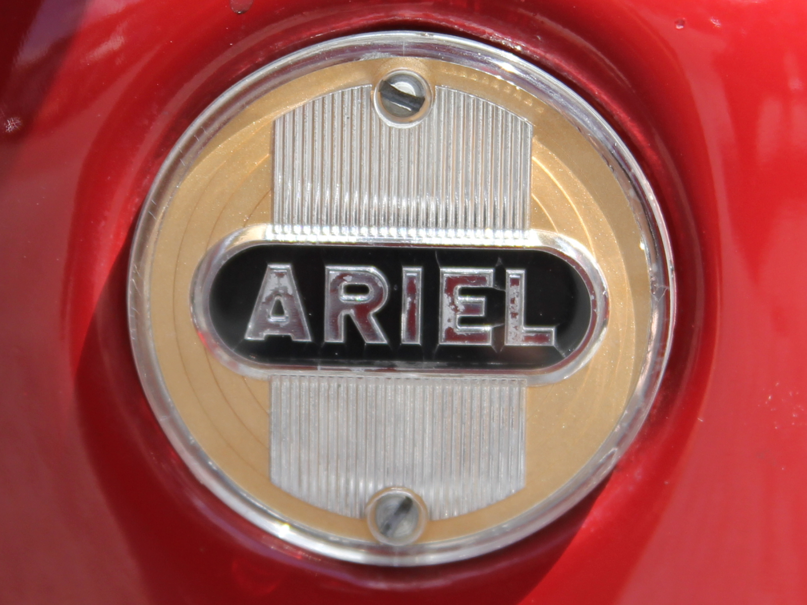 Ariel Detail