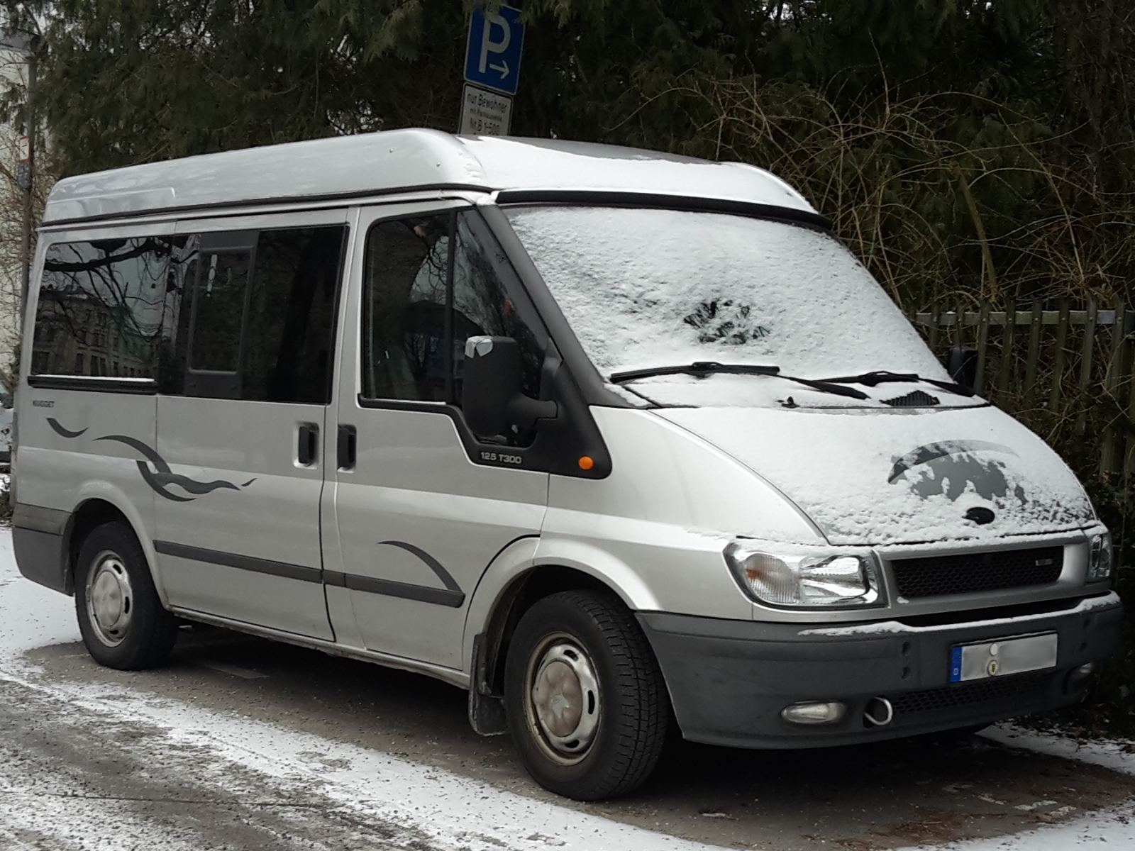 Ford Transit 125T300