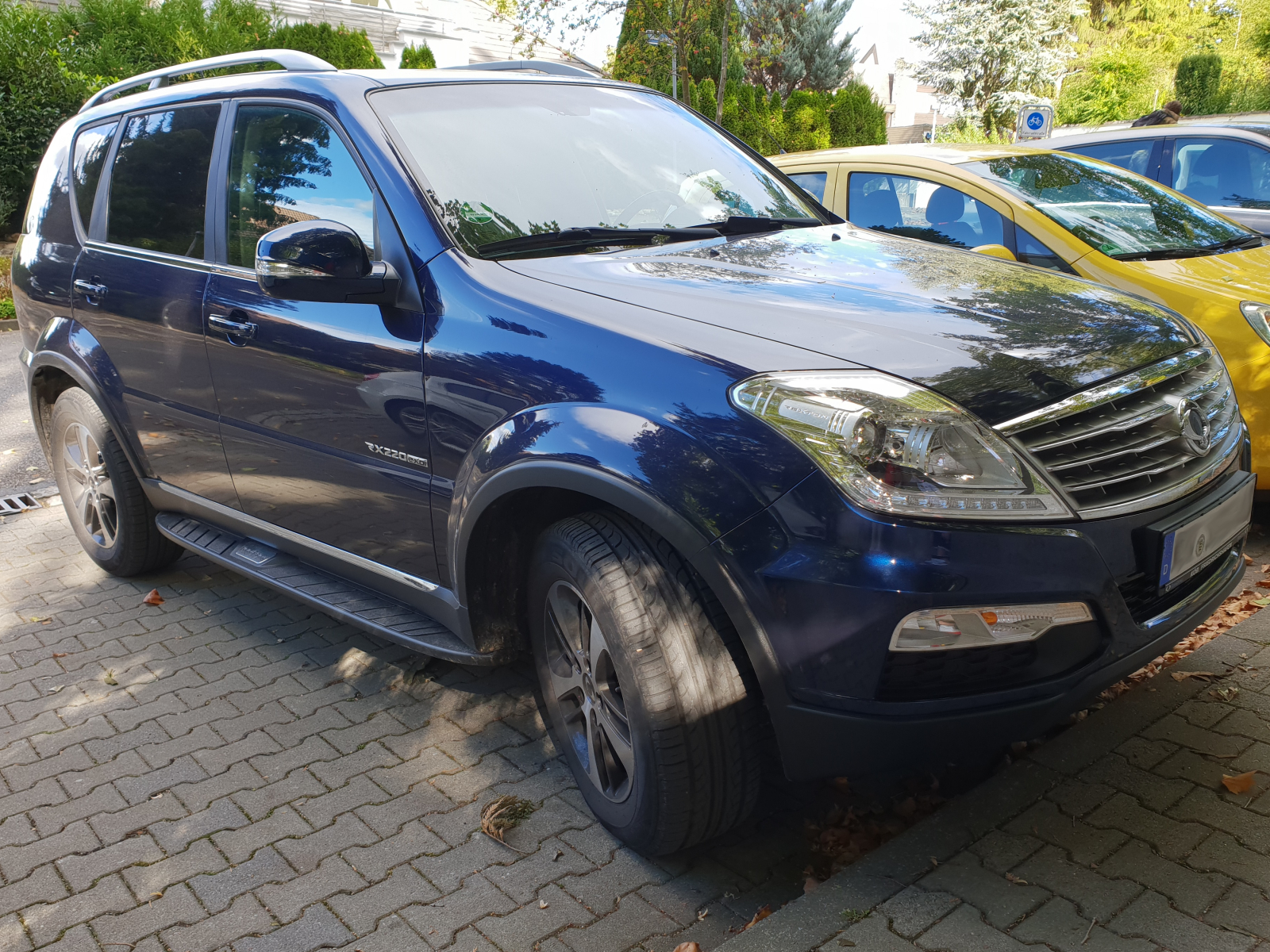 Ssang Yong Rexton