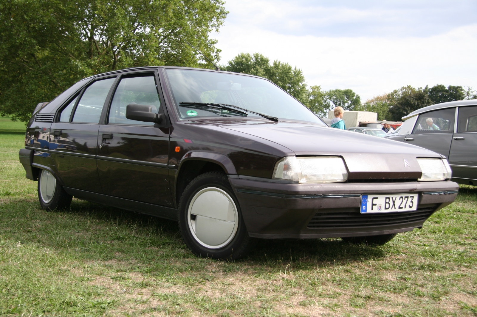 Citroen BX 16 TGI