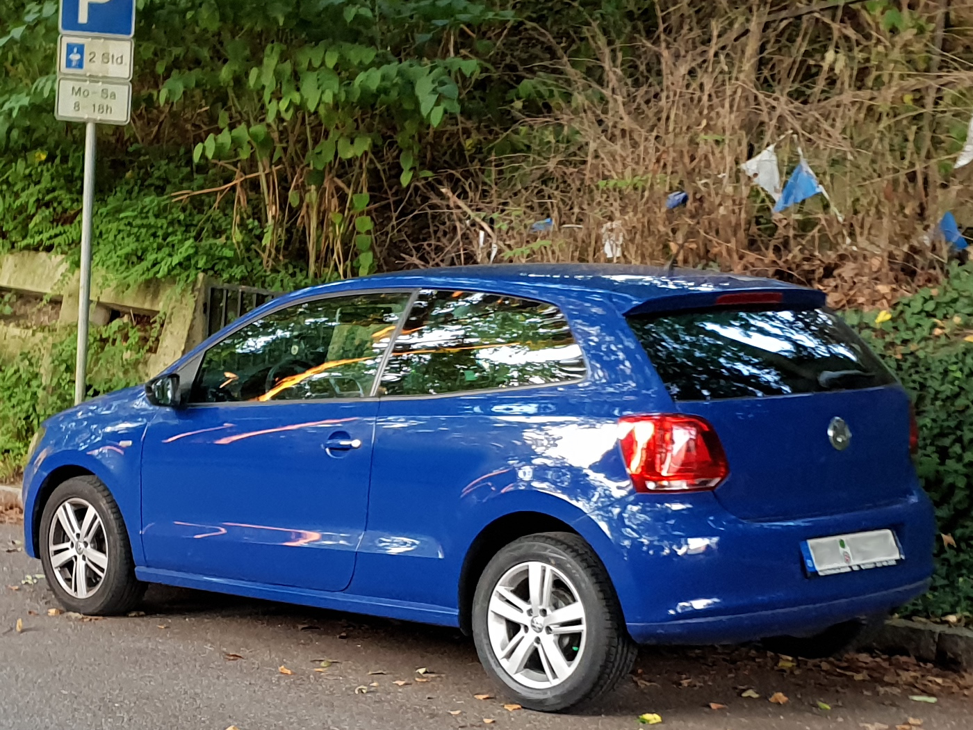 VW Polo V