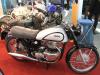 Norton Norton