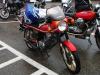 Puch 50-6 cobra gtl Puch 50-6 cobra gtl