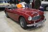 Austin Healey 100/6