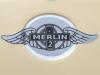 Merlin Detail Merlin Detail