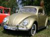 VW Kaefer Export VW Kaefer Export