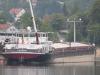 Lauwen
