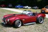 Cobra Cobra