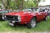 Shelby Mustang Shelby Mustang