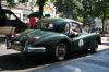 Jaguar Jaguar