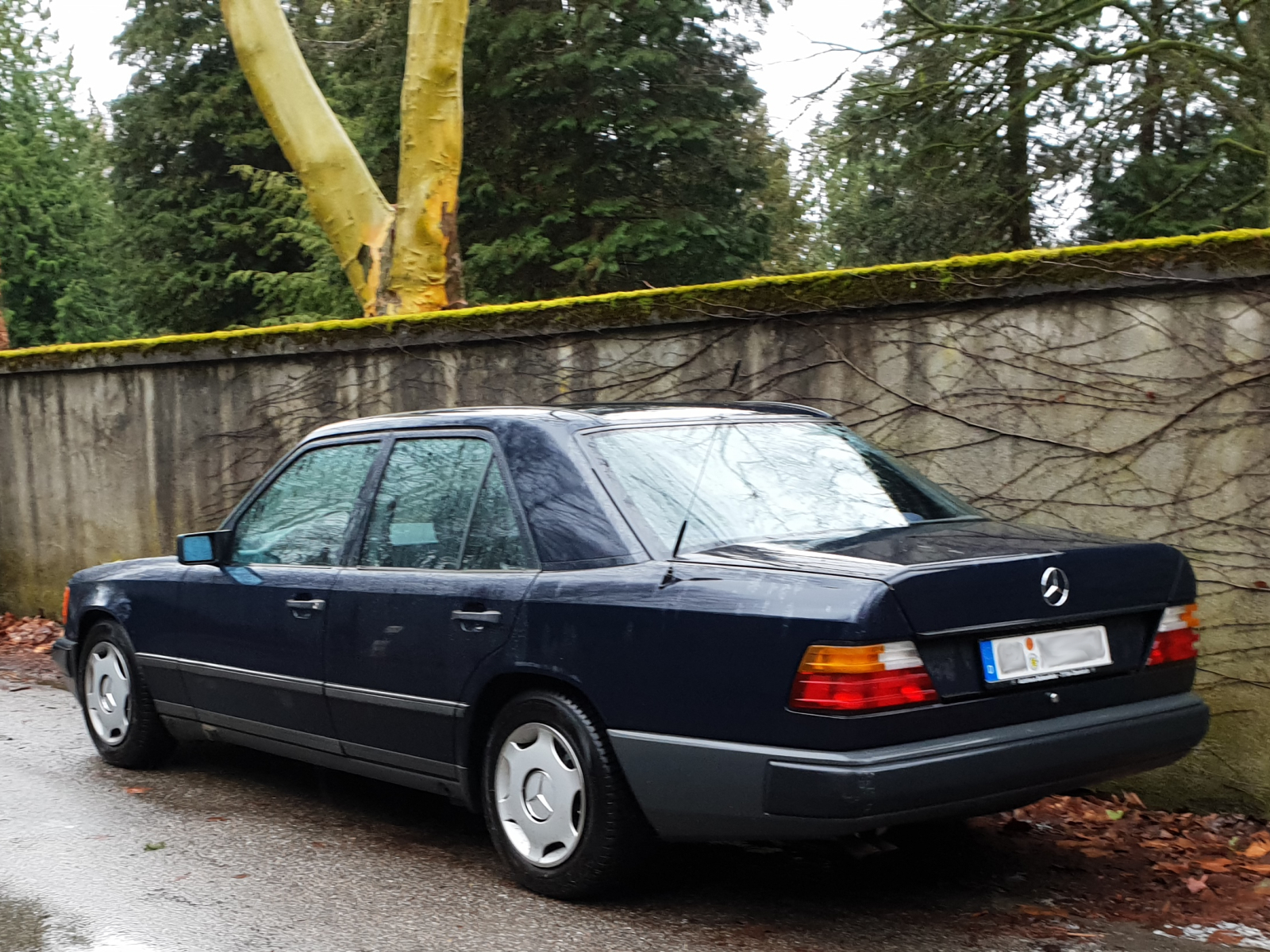 Mercedes Benz W 124