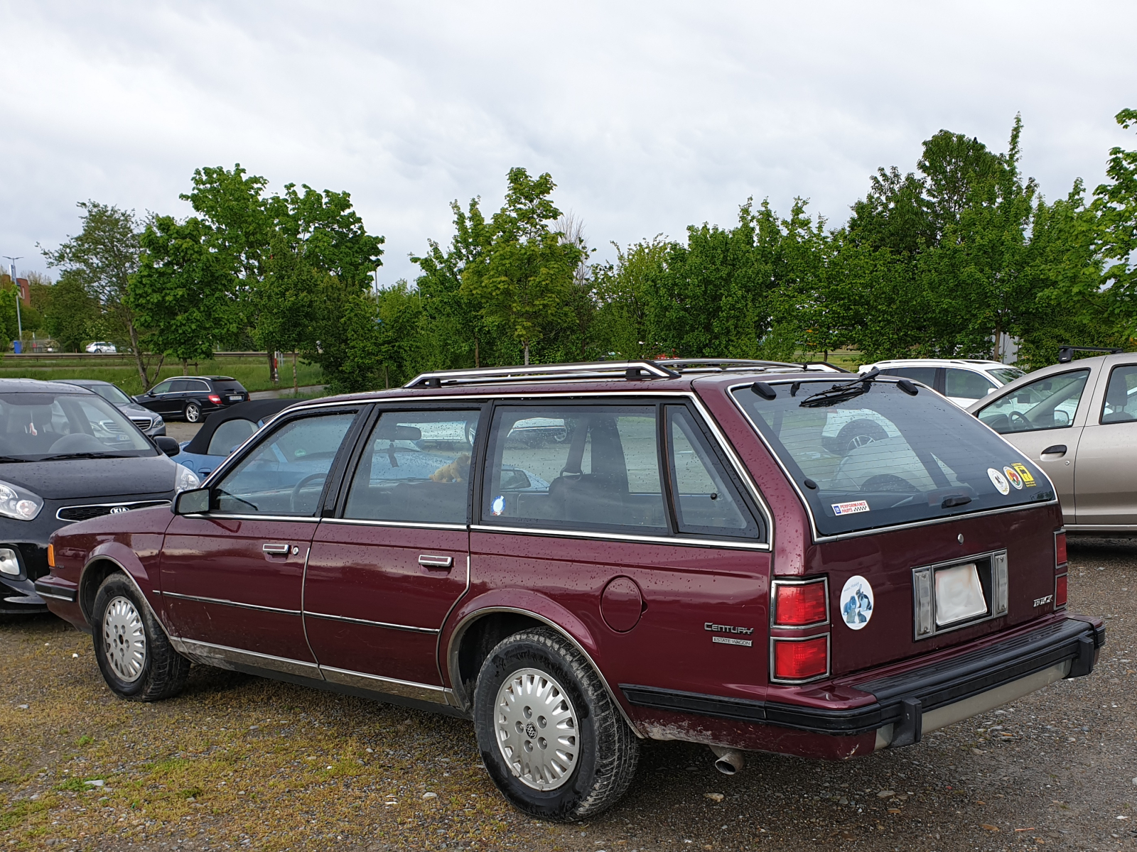 Buick Century Estate Wagon