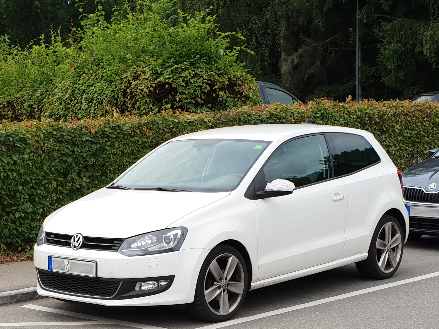 VW Polo V